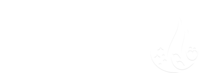Fresh Clean